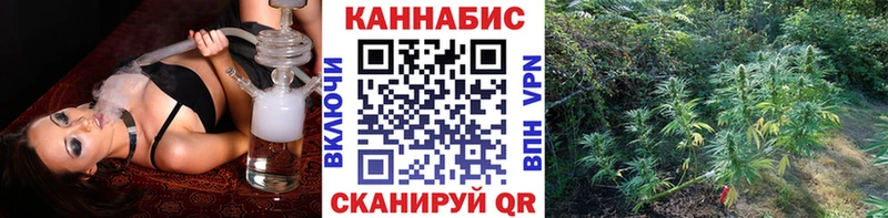 дарнет шоп  Камышин  Каннабис план 